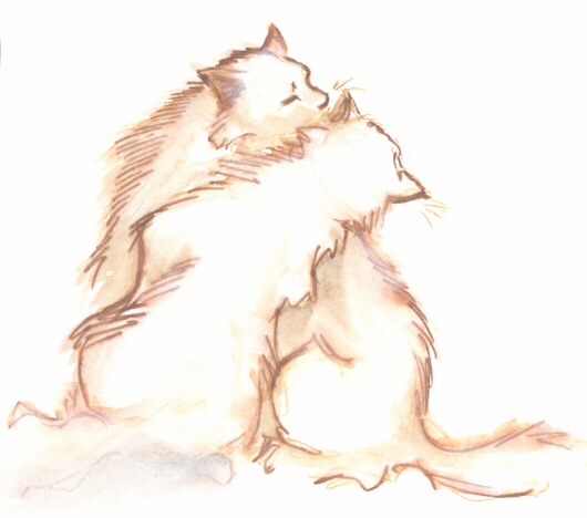 Две кошарки