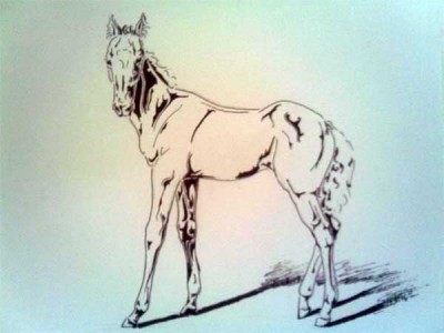 Мутный, но разглядеть мона =)