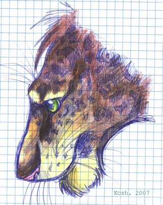 Рисунки на уроках...