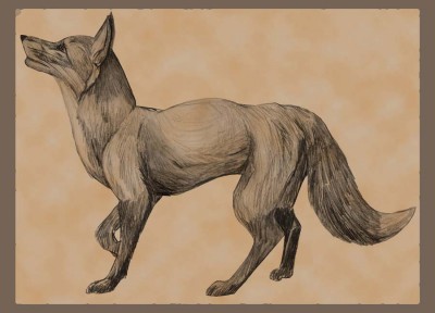 Fox.jpg (64.36 КБ) 15277 просмотров Fox.jpg