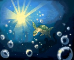 Героиня моей недописанной книженции - черепаха Кори.