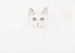 Вот этого котяру зовут Мурзик. Легкий набросок.