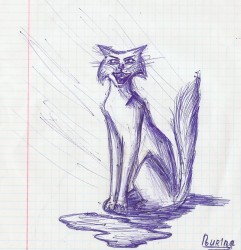 Вот еще один злой котяра. Хвост слишком длинный, а насчет лап я не уверенна.