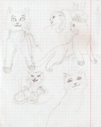 Кошки с ТЛКашными лапами. Другие рисовать пока что не умею.