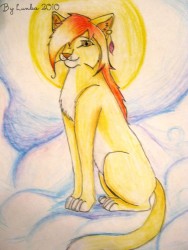 солнечная кошка