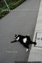 x_ec21f019.jpg (62.94 КБ) 22870 просмотров x_ec21f019.jpg