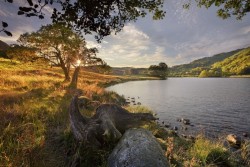 0053ck6f.jpg (146.53 КБ) 22873 просмотра Одна из работ Стива Хайфилда