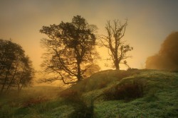 0052hq85.jpg (247.6 КБ) 22865 просмотров Ещё одна работа Стива Хайфилда