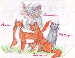 КВ. Дети Огнезвёзда и Пепелицы.