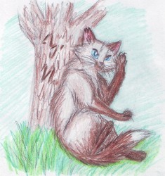 Ещё одна кошка... Я на них помешалась, блин...