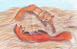 Сканирован12-02-28 1725.jpg