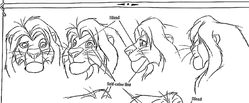 simba-head-turnaround.png