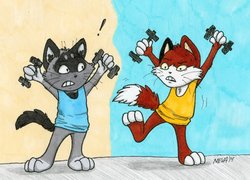 Фром риал лайф с Раном (Шакуми) делаем зарядку х)