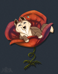 Алтэя на день рождения Тэм