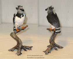 KivHarpyEagle.jpg