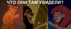 лапы.jpg (190.75 КБ) 20681 просмотр лапы.jpg